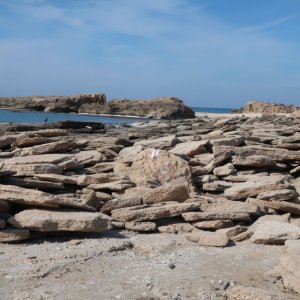 Hiking along the Coast