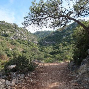 Nahal Kelach and Alon Valley Hike
