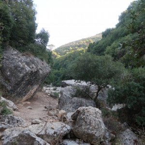 Nahal Kelach and Alon Valley Hike
