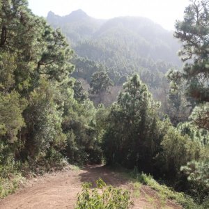 Orotava Valley Hike