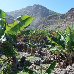 Las Aguas Coastal Path