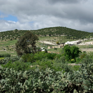 Traditional village