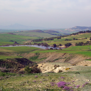 Near El Kef