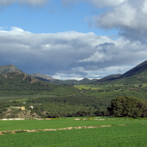 South of Tunis