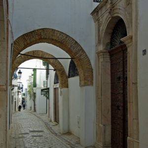 Tunis street