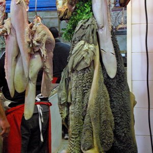 Butchery, Central Market, Tunis