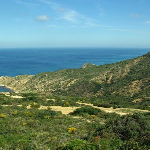 Cap Bon Peninsula