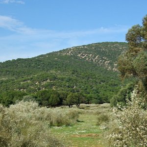 On the way to Korbous