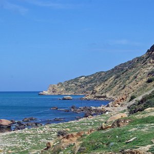 Coast near Ain el Atrous