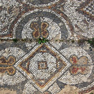 Mosaic, El Kef - Roman baths