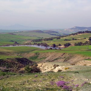 Countryside artounf El Kef