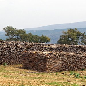Piles of cork oak bark drying