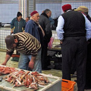 Mahdia - fish market
