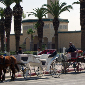 Tourist carriages outside Habib Bourguiba Mausoleum, Monastir
