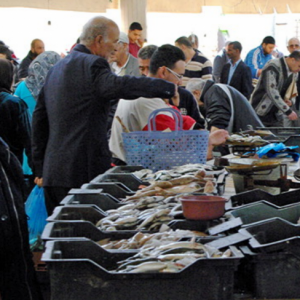 Sfax Fish Market
