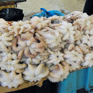 Octopus, Sfax Fish Market