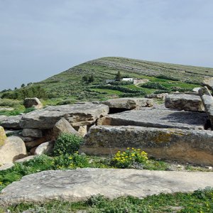 Elles Tombs