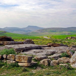 Elles Tombs