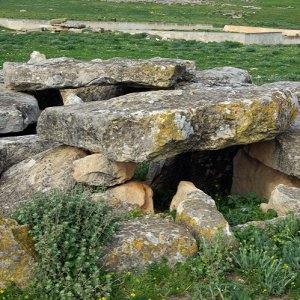 Elles Tombs