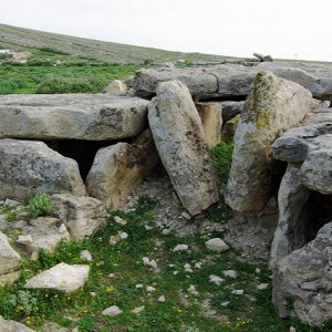 Elles Tombs