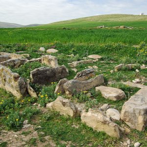 Elles Tombs