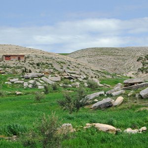 Remains of more tombs near Zawkriya