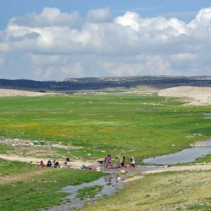 Kesra - limestone plateau above the village