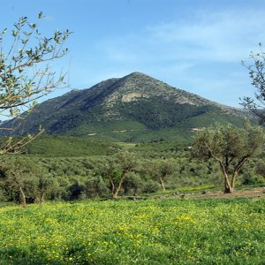 Ksar Ezzit - fields, olive groves and hills