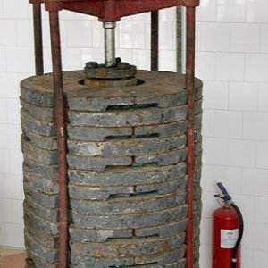 Ksar Ezzit - olive press