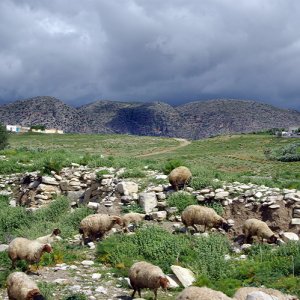 Landscape around Abthugni
