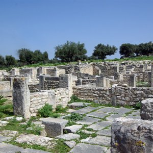 Ain Tounga