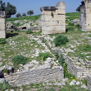 Ain Tounga