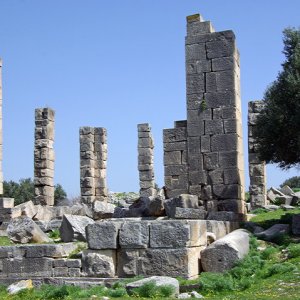 Ain Tounga