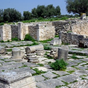 Ain Tounga