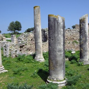 Ain Tounga