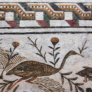 El Jem Archaeological Museum