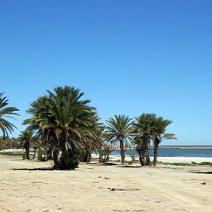Gighitis shore line