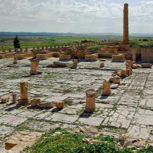 Haïdra