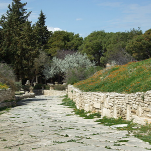 Maktar