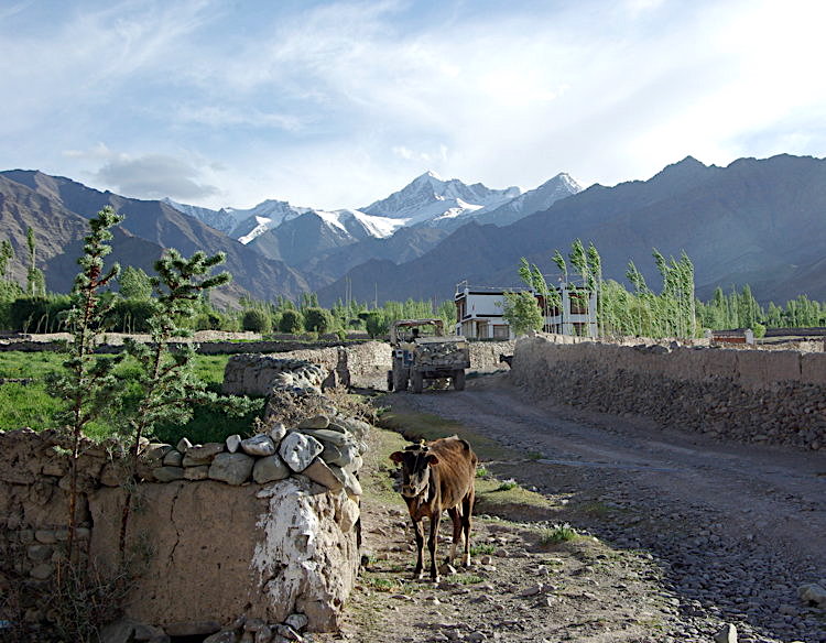 15IStreet, Stok village