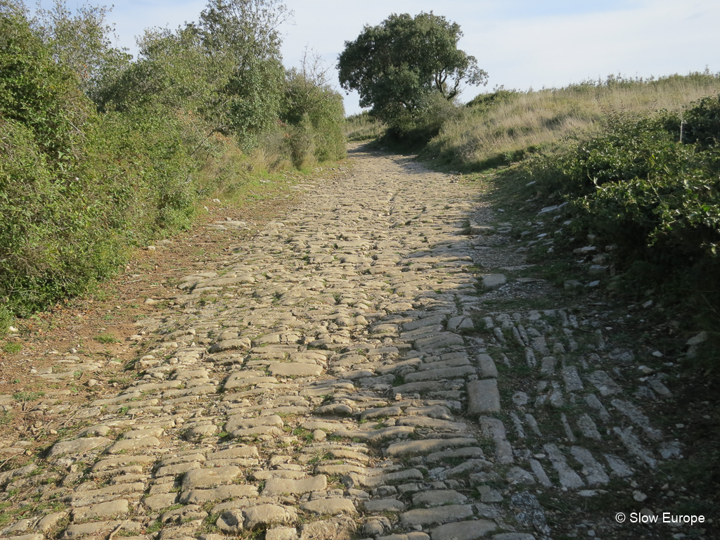 Ambrussum, a Roman Town