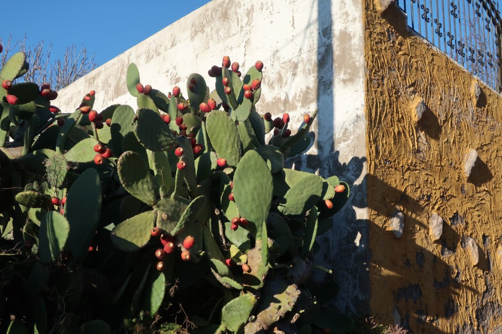 Arriba Valley Hike