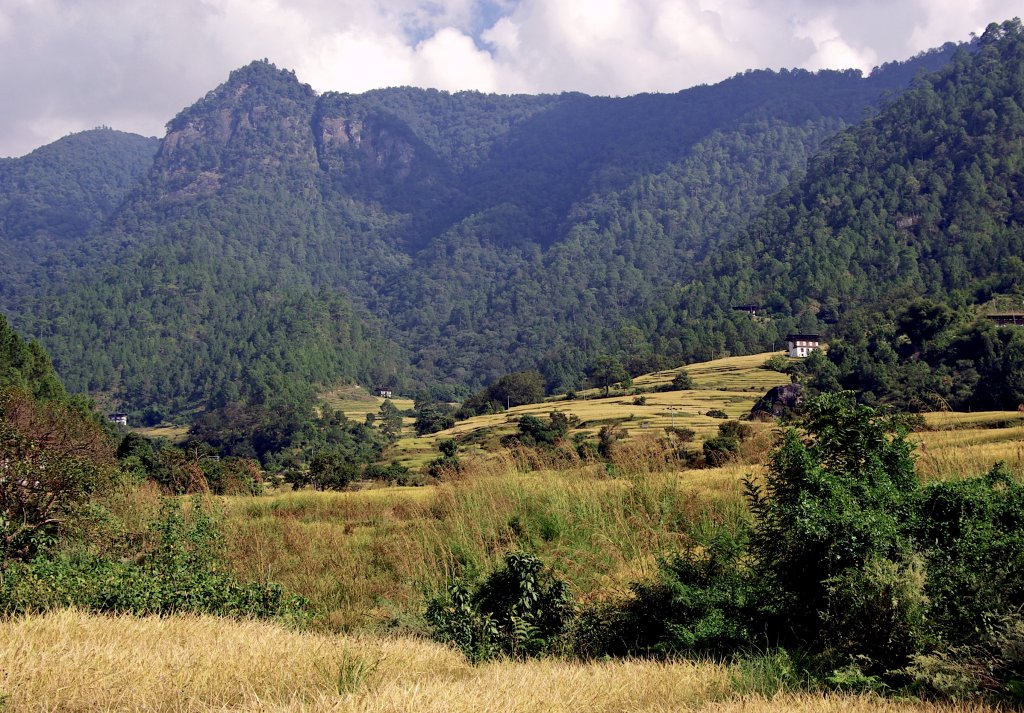 Bhutan - scenery