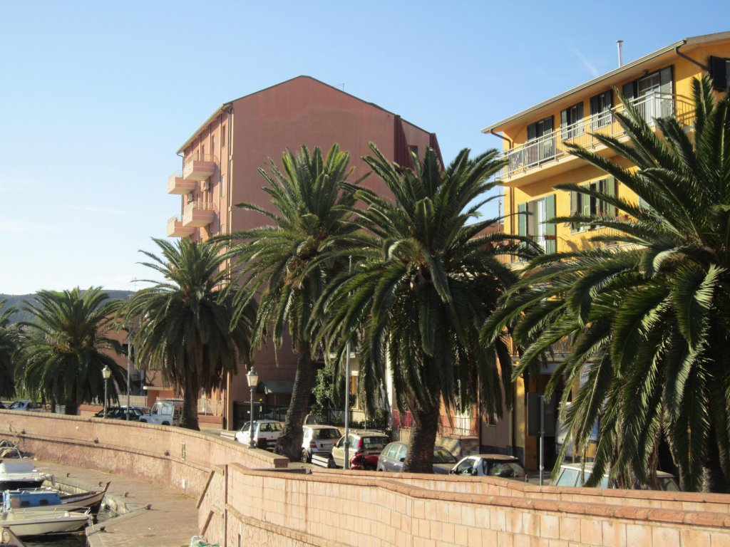 Bosa