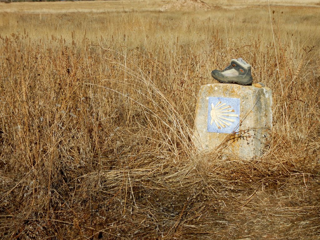 Camino Boot