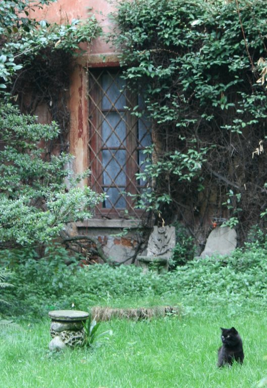 cannobbio hidden garden.jpg