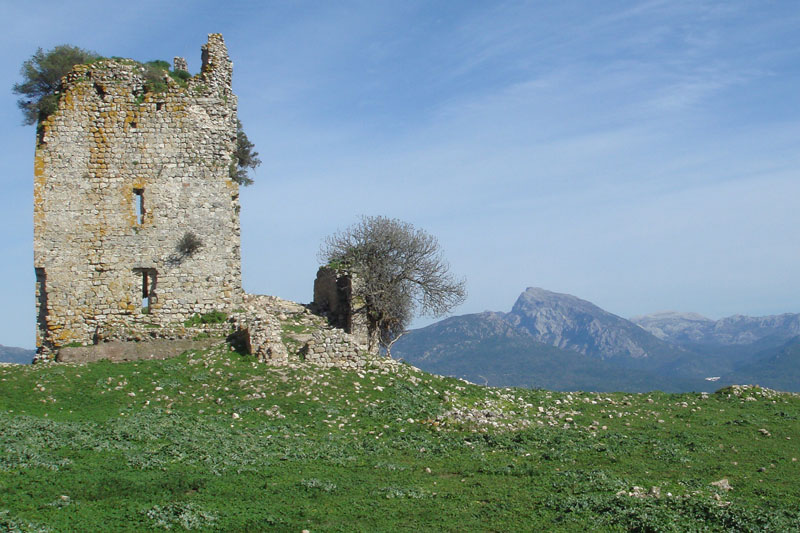 Castle ruins