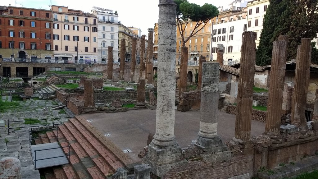 Cat sanctuary in the ruins