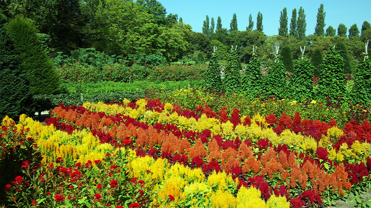 Château de Chenonceau - flower and vegetable gardens.png