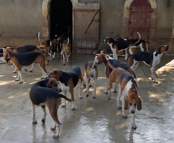 Château de Cheverny - kennels.png